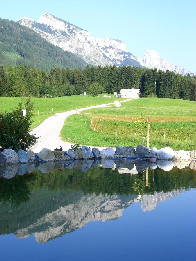 Vorderweinaugut Lägenhet Annaberg im Lammertal Exteriör bild